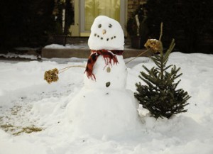snowman-1139260_960_720
